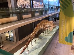 -墨尔本博物馆(Melbourne Museum)