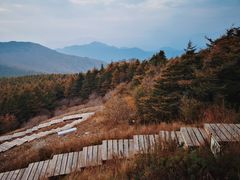 -白草畔自然风景区