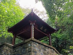 -北极阁公园
