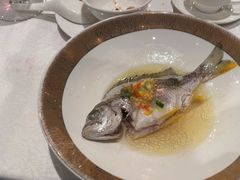 -红棉中餐厅·广州海航威斯汀酒店