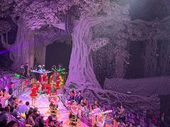 -广州长隆国际大马戏
