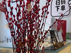 -野人先生现做冰淇淋(西安赛格店)