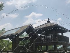 -茅山东方盐湖城景区