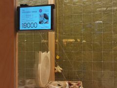 -帕帕拉兹宠物(亚洲旗舰店)