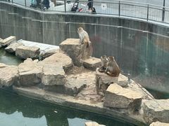 -无锡动物园·太湖欢乐园