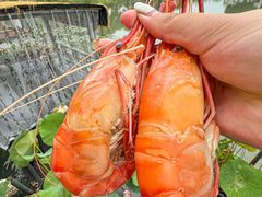 -水岸居湖景农家乐·阳澄湖大闸蟹