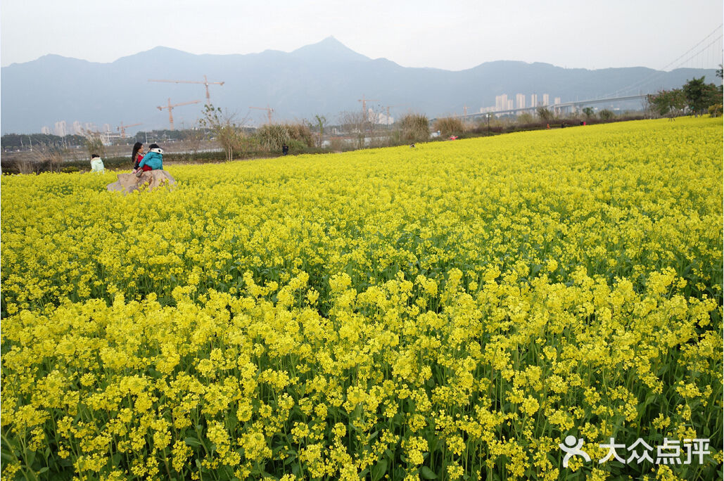 福州花海公園圖片