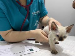 -派特宠物医院(圆融广场店)