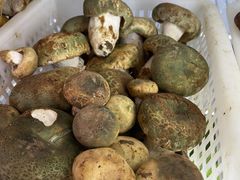 -菌之家·专业纯野生菌火锅·特色炒菌