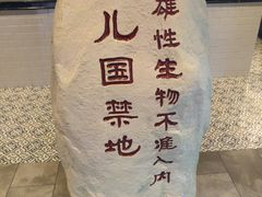-CGV影城(壹方城IMAX店)
