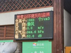 -野象谷景区
