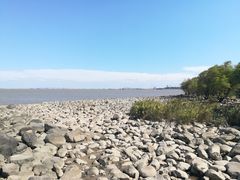 -吴淞炮台湾湿地森林公园烧烤区