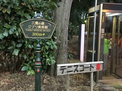 -三鹰之森吉卜力美术馆