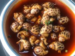 辣酒煮花螺-金龙·打边炉(南京西路店)