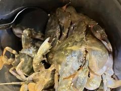 -海草馆自助餐厅(悦海店)