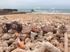 -花乐餐厅(涠洲岛店)