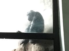 -辛玛王国游乐园