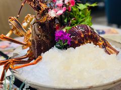 -顺轩海鲜火锅酒家