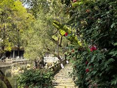 -国恩寺