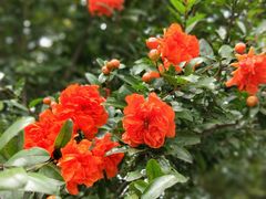 -潘广路(地铁站)