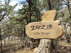 -燕窝岭