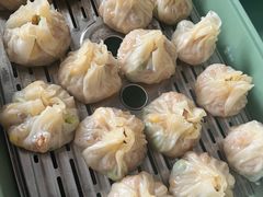 -田螺阿姨自营月嫂·育儿嫂(高新店)