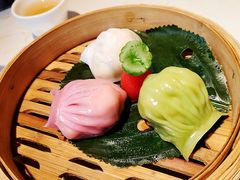 -点都德·毕德寮