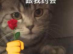 -天时宠物医院24小时疑难病例会诊中心(顾乡大街总院)