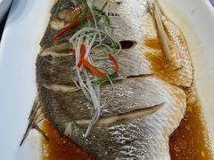 拉菲黄鱼-盛福楼·惠山宴(盛岸路店)