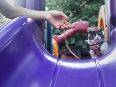 -达爱动物医院·犬猫分区·CT·复杂眼科(远洋山水分院)