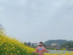 -铁山坪森林公园