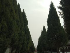 -法门文化景区