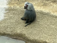 -杭州野生动物世界