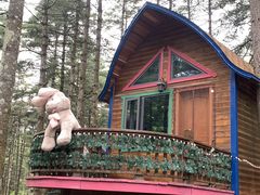 -洛阳白云山景区