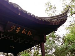 -上海佘山国家森林公园天马山园