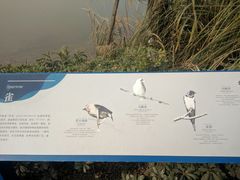 -白鹭湾湿地公园