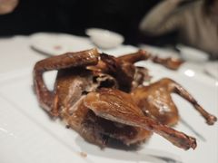 -琬苑鸽庄·川粤融合菜(解放碑总店)