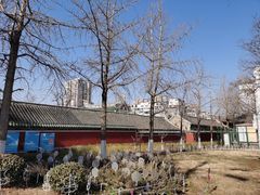 -烟台市博物馆