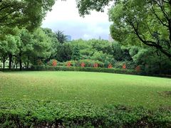 -上海交通大学医学院附属瑞金医院(总院)