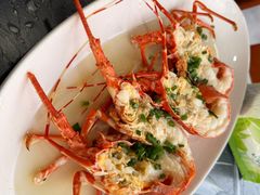清蒸小青龙虾-三星海鲜大排档(双子塔店)