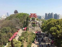 -武汉大学-樱园
