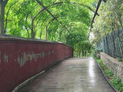 -红螺寺