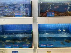 -益利大酒楼(井岸店)