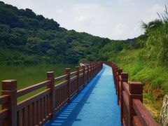 -黄埔油麻山森林公园