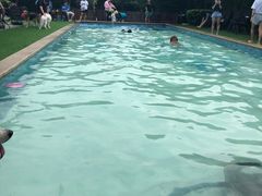 -汪说喵讲宠物乐园宠物酒店(红星美凯龙店)