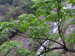 -萍乡武功山风景名胜区