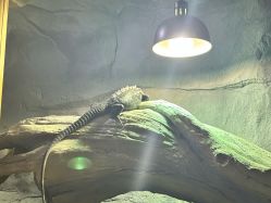 -Zoolung Zoolung动物主题公园(海信广场店)
