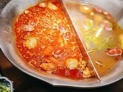 -湊湊火锅·茶憩(郑州绿地新都会店)