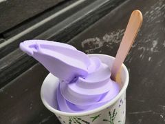 -富田农场