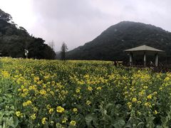 -广州市石门国家森林公园